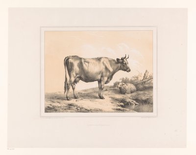 Mucca e pecora in un paesaggio da Eugène Verboeckhoven
