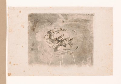 Testa di un bue e di un vitello da Eugène Verboeckhoven