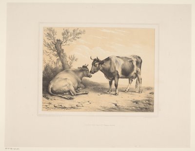 Due mucche (Diverse dieren, Études d