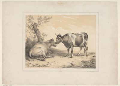 Due mucche (Diverse animali domestici) (Treize sujets d