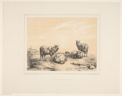 Quattro pecore da Eugène Verboeckhoven