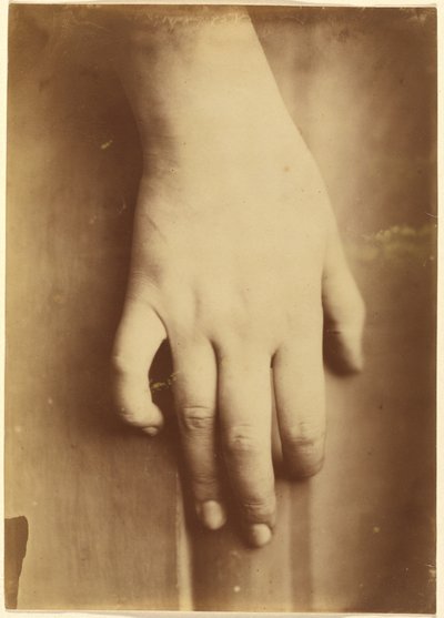 Studio di una mano da European 19th Century