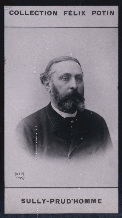 Armand Sully Prudhomme da European Photographer