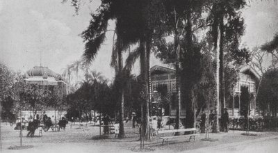Brasile: San Paolo, Jardim da Luz (foto b/n) da European Photographer