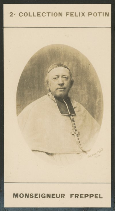 Charles-Emile Monsignore Freppel da European Photographer