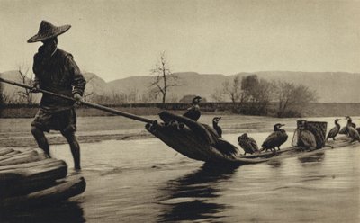 Cina, pesca con cormorani da European Photographer