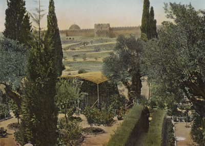 Giardino del Getsemani da European Photographer