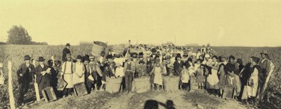 Vendemmia nei vigneti di Vina Lontue, Santiago, Cile da European Photographer