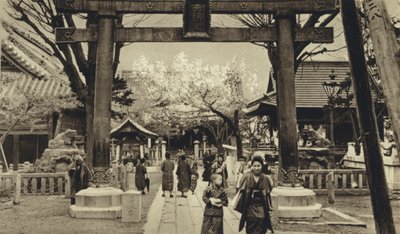Giappone, Strada a Tokyo, periodo della fioritura dei ciliegi da European Photographer
