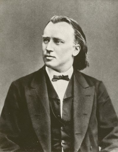 Johannes Brahms, ritratto, c. 1876 da European Photographer