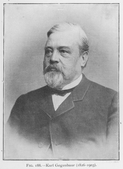 Karl Gegenbaur (1626-1903), ritratto da European Photographer