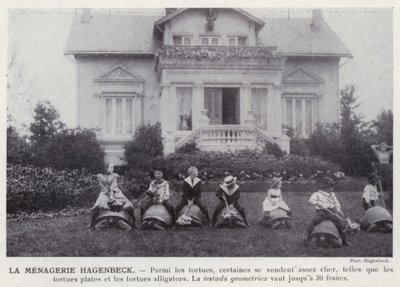 La Menagerie Hagenbeck da European Photographer