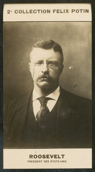 Theodore Roosevelt, Presidente degli Stati Uniti da European Photographer