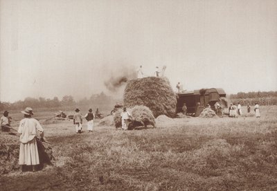 Trebbiare il grano sull