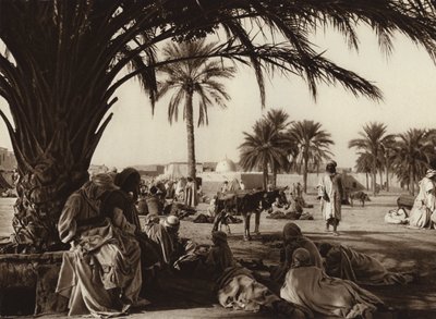 Oasi di Touggourt da European Photographer