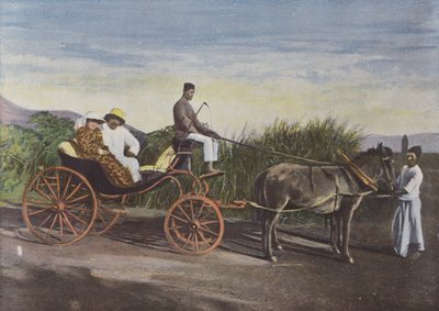 Carrozza dei coloni da European Photographer