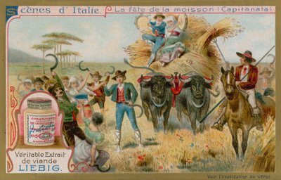 Festa del Raccolto in Capitanata da European School