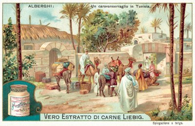 Un caravanserraglio in Tunisia da European School