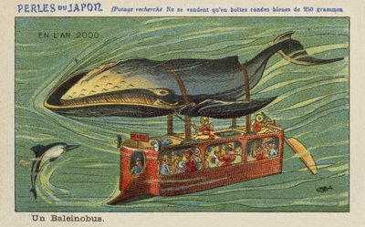 Un autobus balena nell