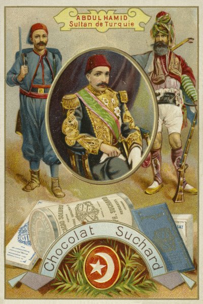 Abdul Hamid II, Sultano dell