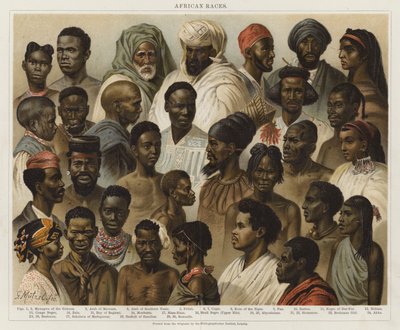 Razze africane da European School