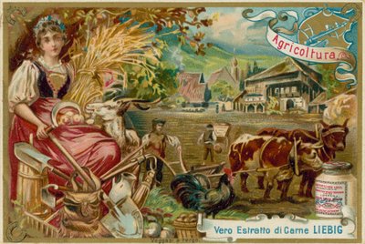Agricoltura da European School