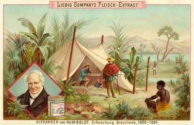 Spedizione di Alexander von Humboldt in Sud America, 1800-1804 da European School