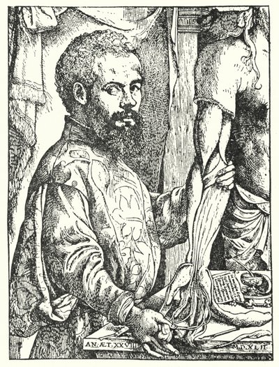 Andreas Vesalius da European School