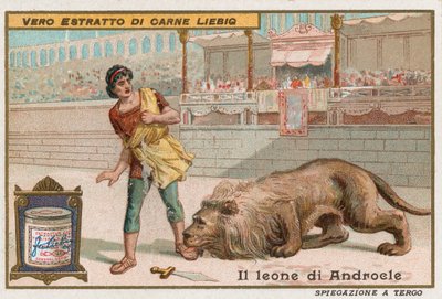 Androcles e il leone da European School