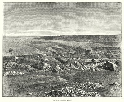 Scavi archeologici della città egizia antica di Tanis da European School