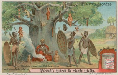 Albero di baobab adornato con feticci da una tribù africana da European School