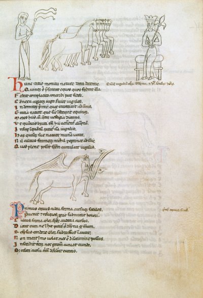 Bestiario: il cavallo da European School