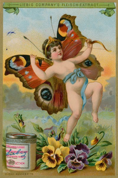 Cherubino Farfalla con Viole del Pensiero da European School