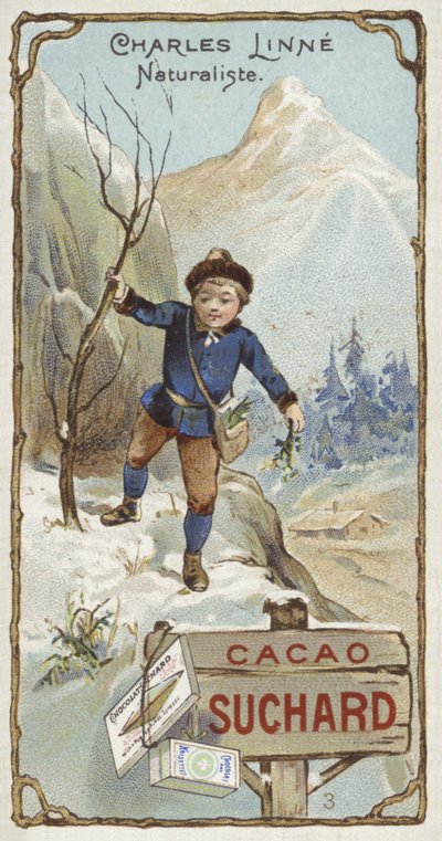 Carl Linnaeus, botanico e zoologo svedese, da bambino da European School