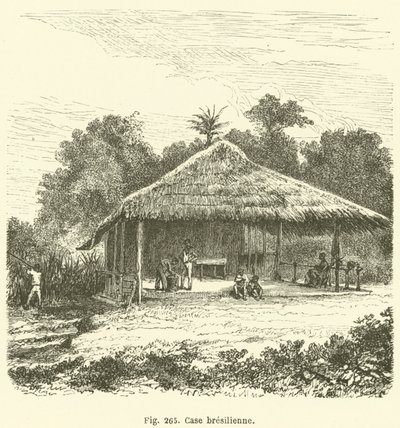 Casa brasiliana da European School