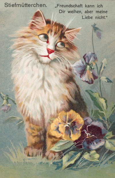 Cartolina gatto (litografia a colori) da European School