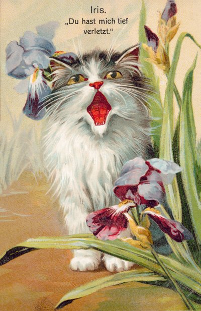 Cartolina gatto (litografia a colori) da European School