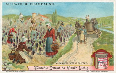 Champagne, carta Liebig, inizio XX secolo (cromo) da European School