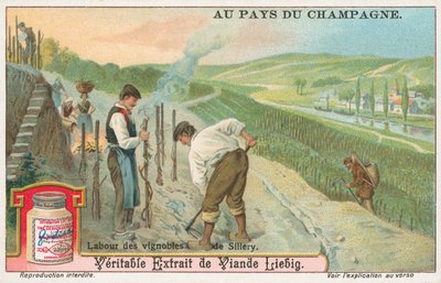 Champagne, carta Liebig, inizio XX secolo (cromo) da European School