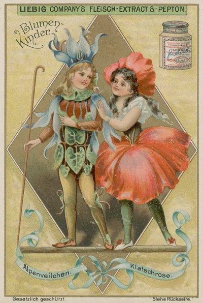 Ciclamino e papavero da European School