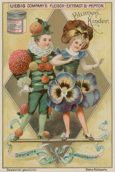 Dalia e viola del pensiero da European School