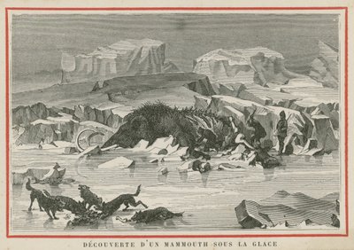 Scoperta di un mammut lanoso sotto il ghiaccio da European School