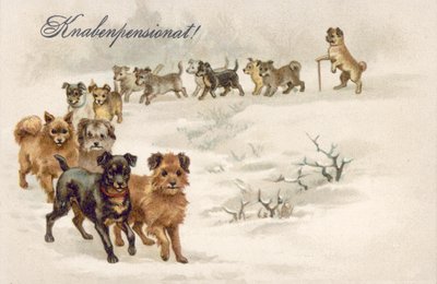 Cartolina con cane (litografia a colori) da European School