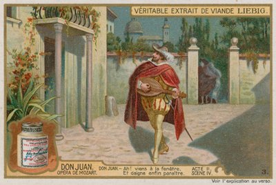 Don Giovanni Canta a Elvira da European School