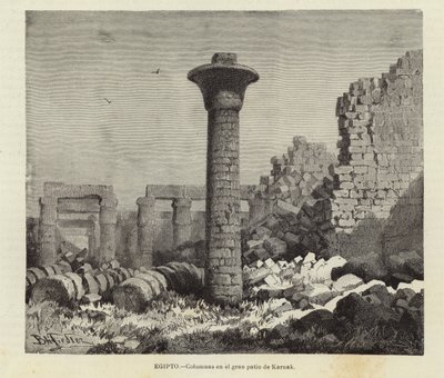 Egitto - Colonne nel grande cortile di Karnak da European School