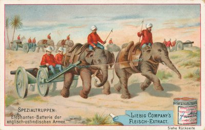 Soldati inglesi trainati da elefanti in India, carta Liebig, inizio XX secolo (cromo) da European School