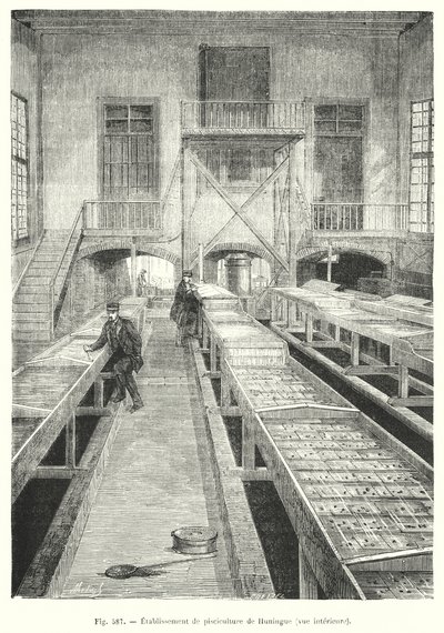 Stabilimento di piscicoltura di Huningue, vista interna da European School