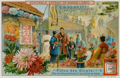 Festa dei Crisantemi in Giappone da European School