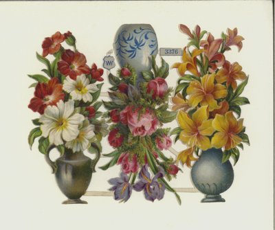 Fiori da European School