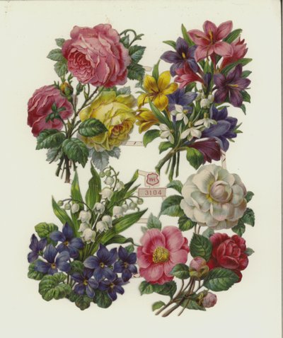 Fiori (cromolitografia) da European School